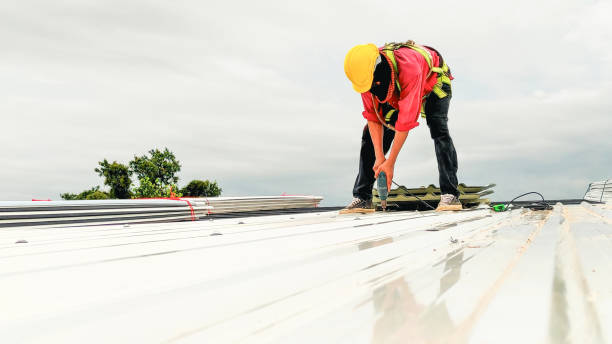 Best Sheet Metal Roofing  in Evansville, IN
